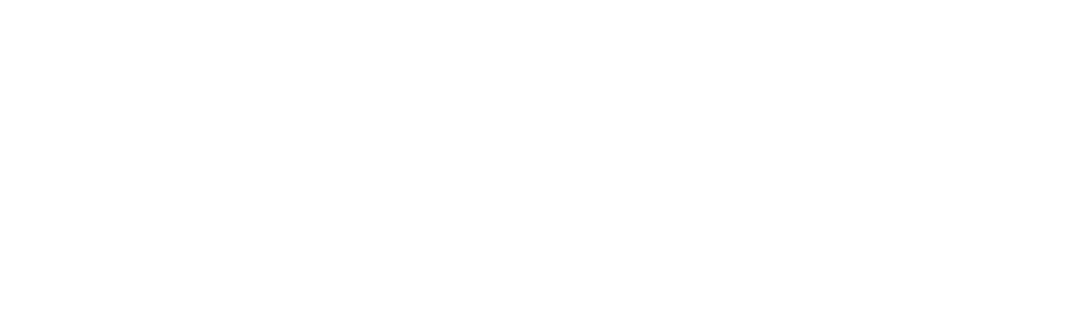 Valky Logo